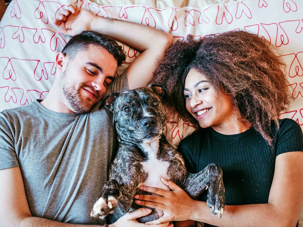News Outlets Recklessly Give Pit Bulls a Bad Rap—Yet Again
