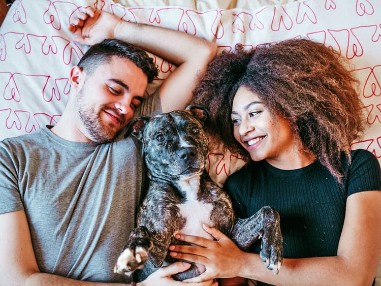 News Outlets Recklessly Give Pit Bulls a Bad Rap—Yet Again
