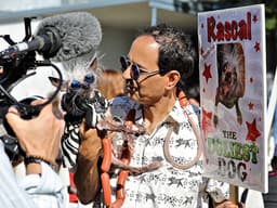 Alternate Names For “The World’s Ugliest Dog Contest”