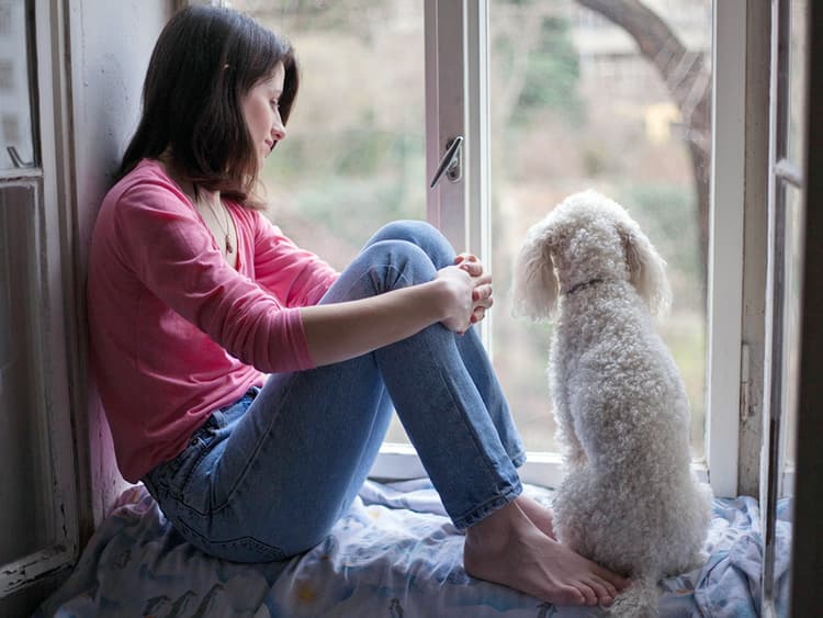 Is the Eclipse Safe for Cats and Dogs? How to Protect Your Pets on August 12