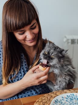 What Human Foods Can Cats Eat?