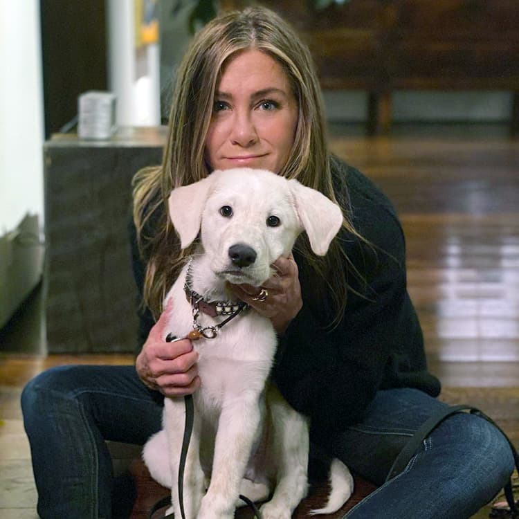 These Major Celebrities Have Rescued Dogs—Now So Many More Pets Are Getting Adopted