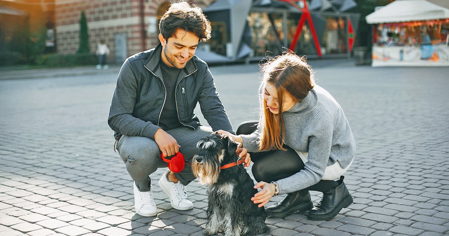 How to Find Short-Term Foster Care for Your Dog