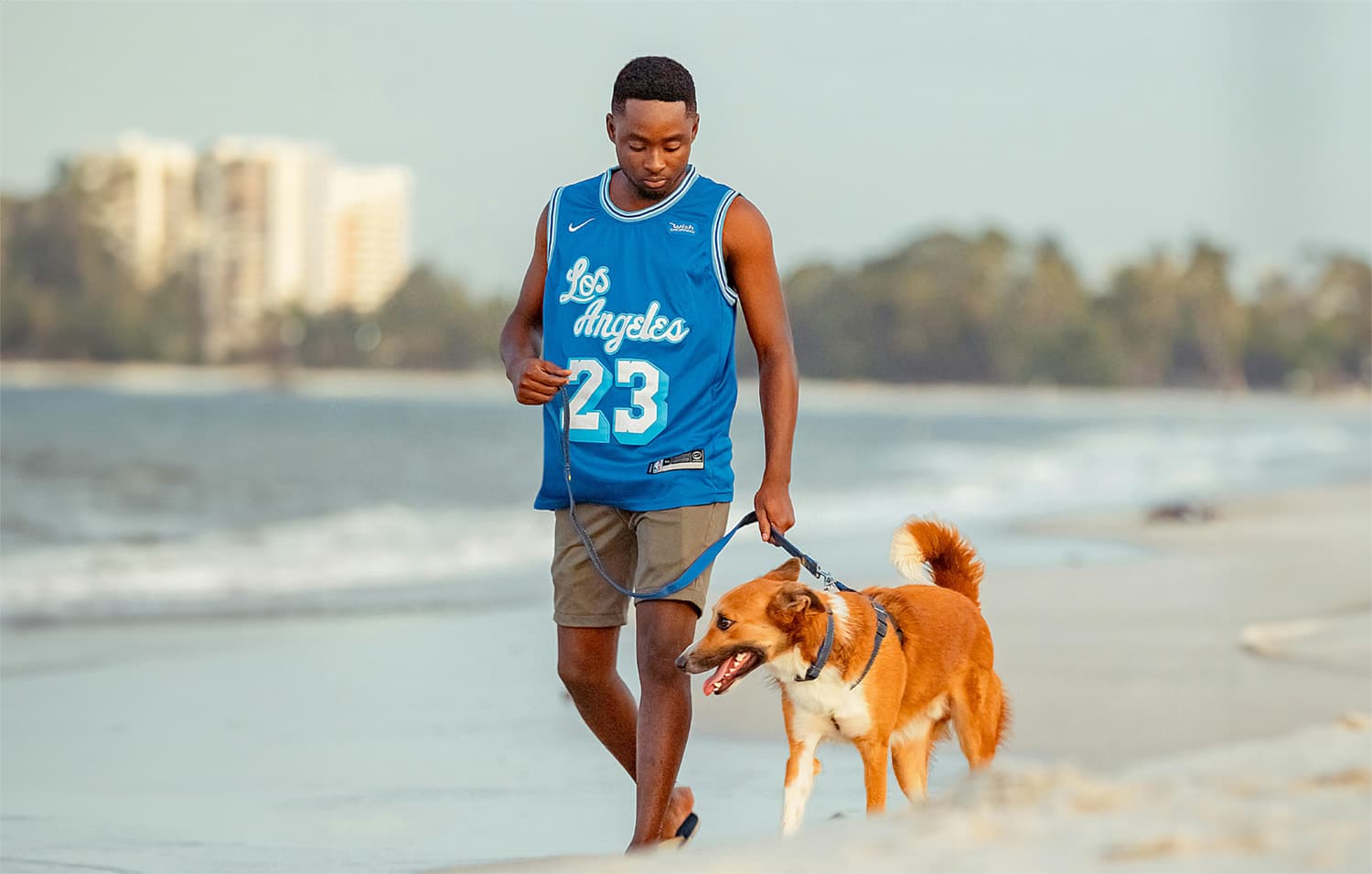 Your Dog Wants a Routine. Here’s How to Build One.