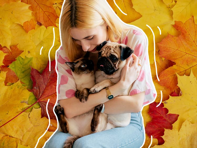10 Usual Suspects at Thanksgiving and How to Save Your Pet From Them