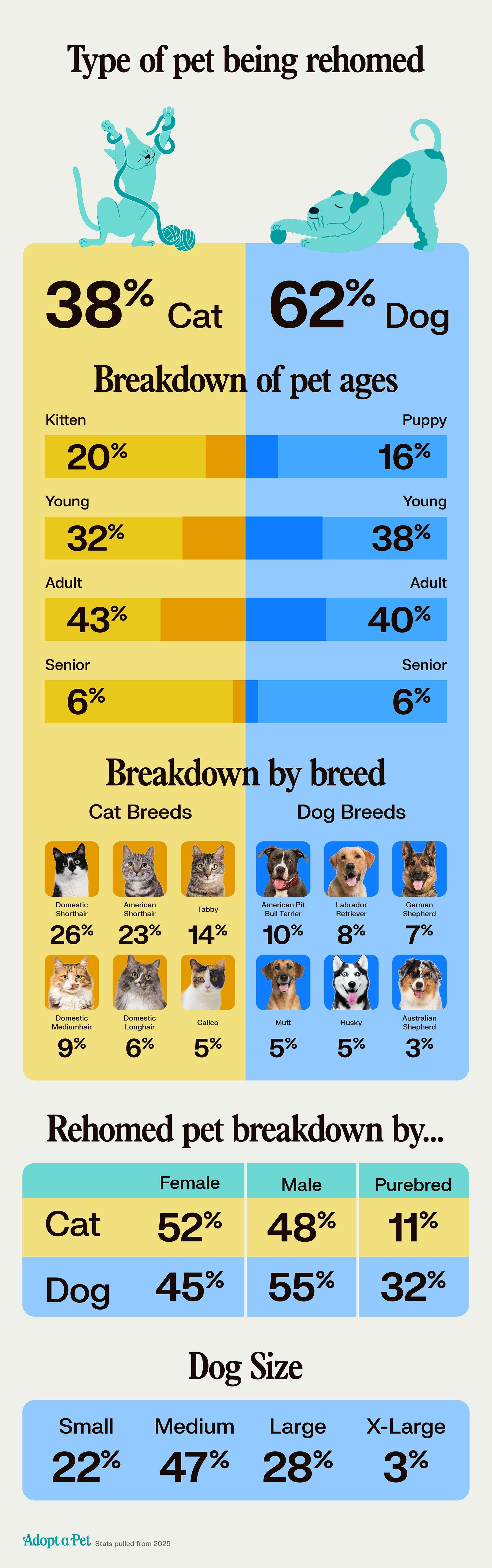 For dogs being rehomed, 40 percent are adult dogs, 38 percent are young dogs, 16 percent are puppies, and 6 percent are senior dogs, showing a wide range of ages depending on what stage of life works for you. For cats being rehomed, 43 percent are adult cats, 32 percent are young cats, 20 percent are kittens, and 6 percent are senior cats.