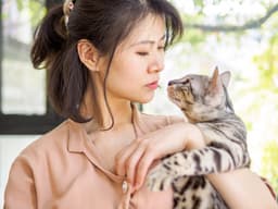 Does Your Scent Actually Help Calm Your Cat?
