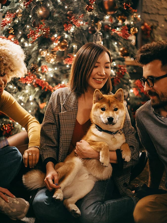 It’s a Hard Time of Year for Animal Shelters—Here's How They Find Holiday Joy