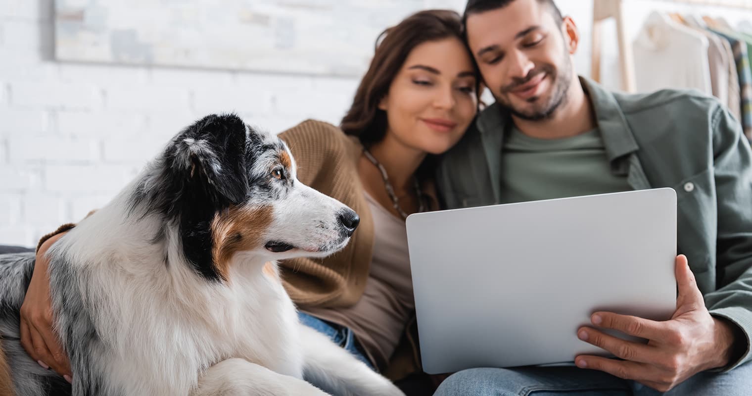 How Long Does It Take an Australian Shepherd to Get Used to a New Home?