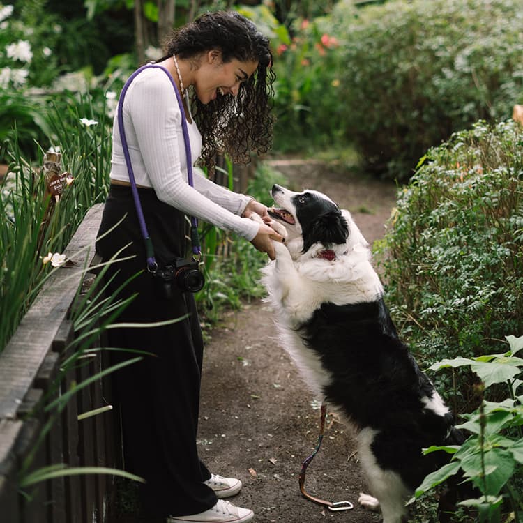 Is Your Dog Bilingual?
