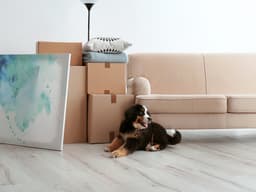 Making a Move? Here’s How to Help Your Dog Adjust to Your New Digs