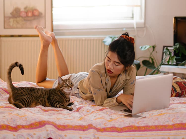 What to Expect in the First 48 Hours With Your New Cat