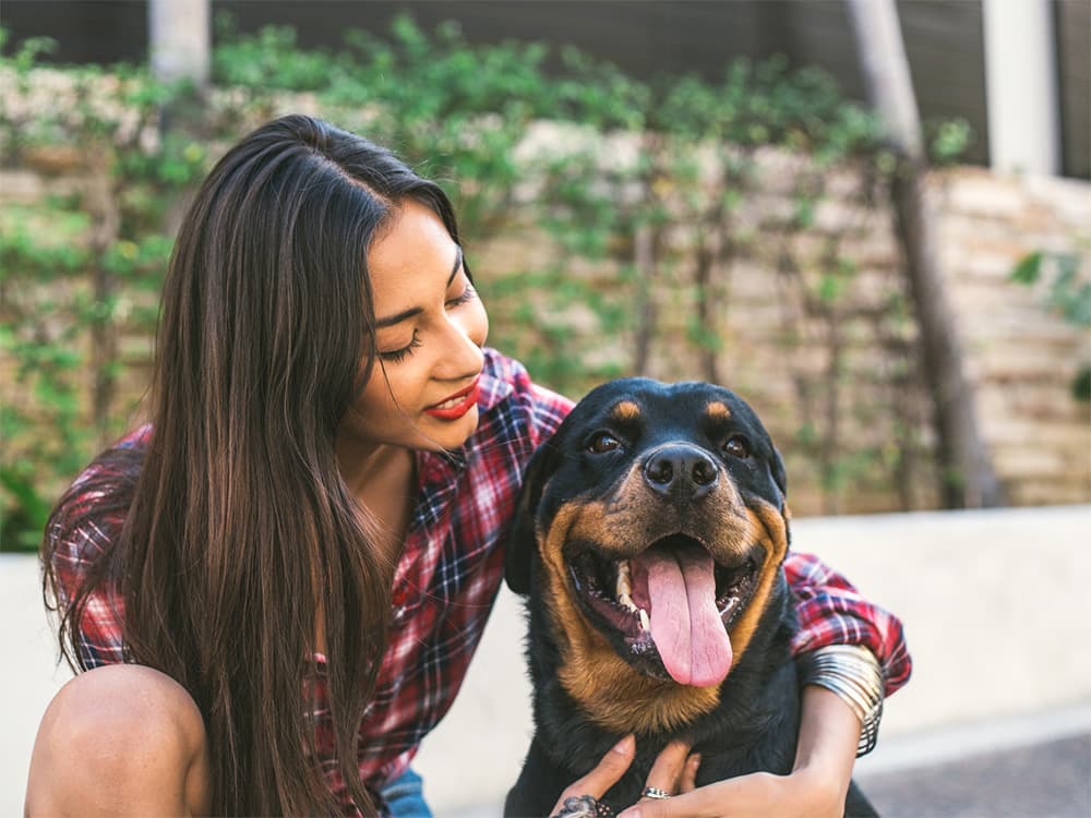 Can Dogs Get Hiccups? Why It Happens and What to Do