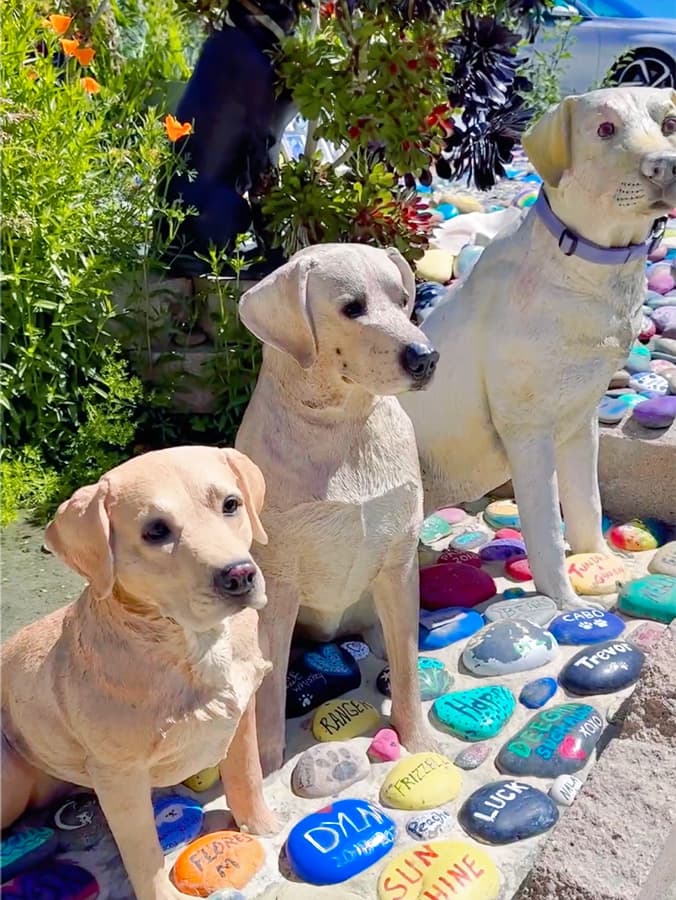 This California Beach Is Home to a Gorgeous, Hidden Dog-Memorial Garden