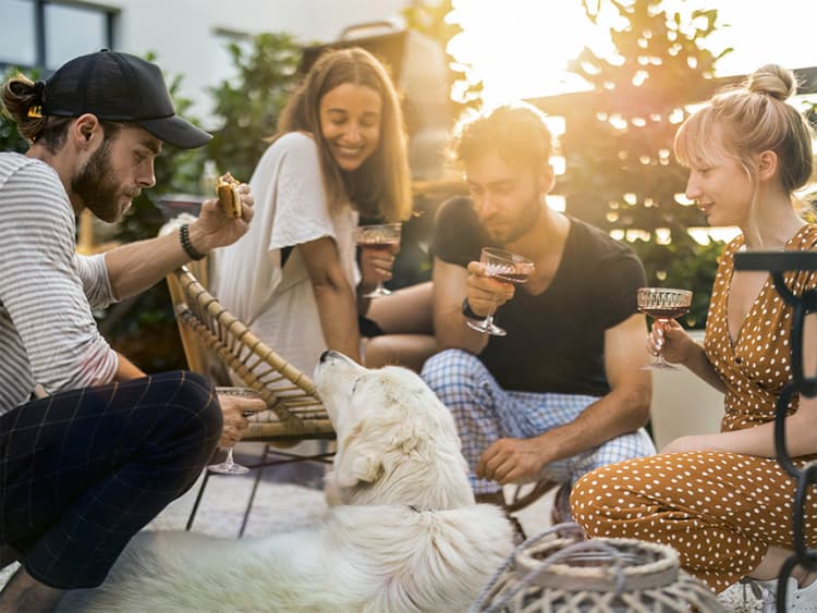 5 Ways to Keep Your Pet Safe This Fourth of July