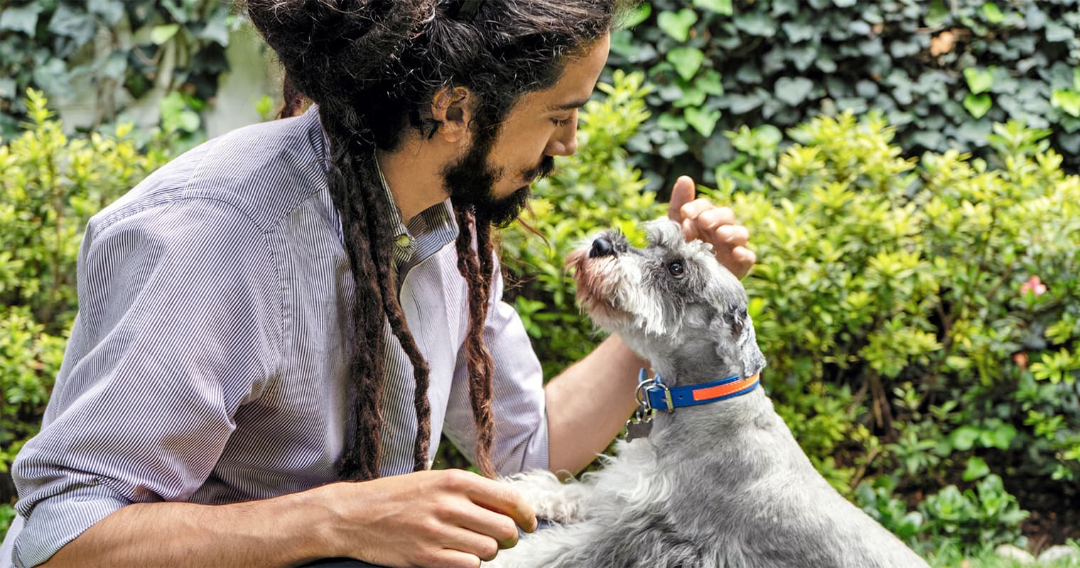 Adopting a Diabetic Dog and Giving Them a Second