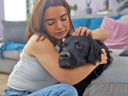 Diagnosing Kennel Cough in Dogs: A Comprehensive Guide