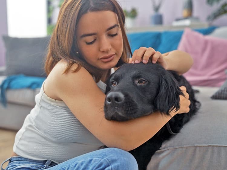 Diagnosing Kennel Cough in Dogs: A Comprehensive Guide