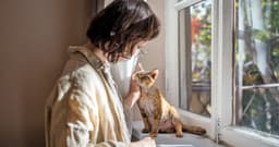 How to Tell if a Cat Is in Pain