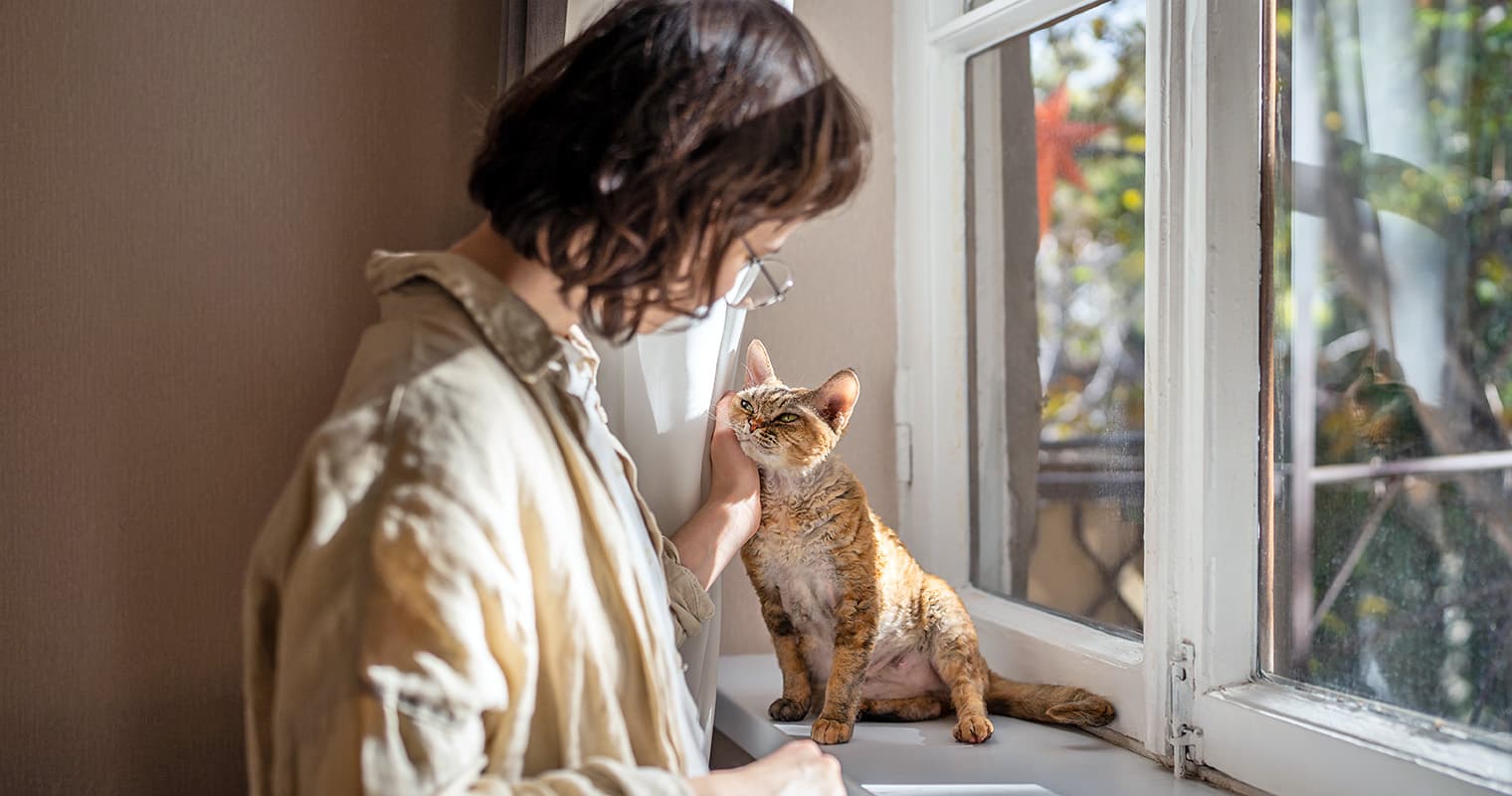 How to Tell if a Cat Is in Pain