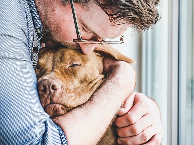 The XL Bully Breed Ban in the UK Will Officially Take Effect December 31
