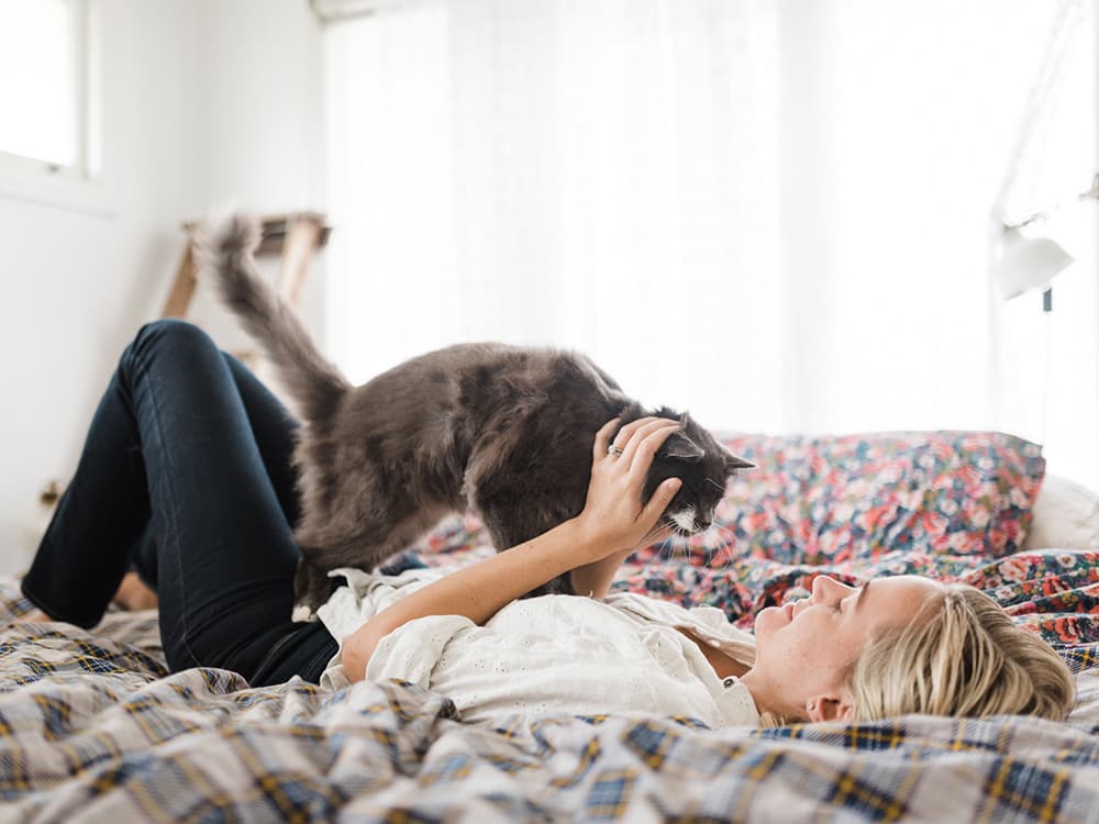 Your Cat Hates It When You Frown