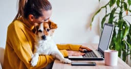 What Does It Mean to Surrender a Dog?