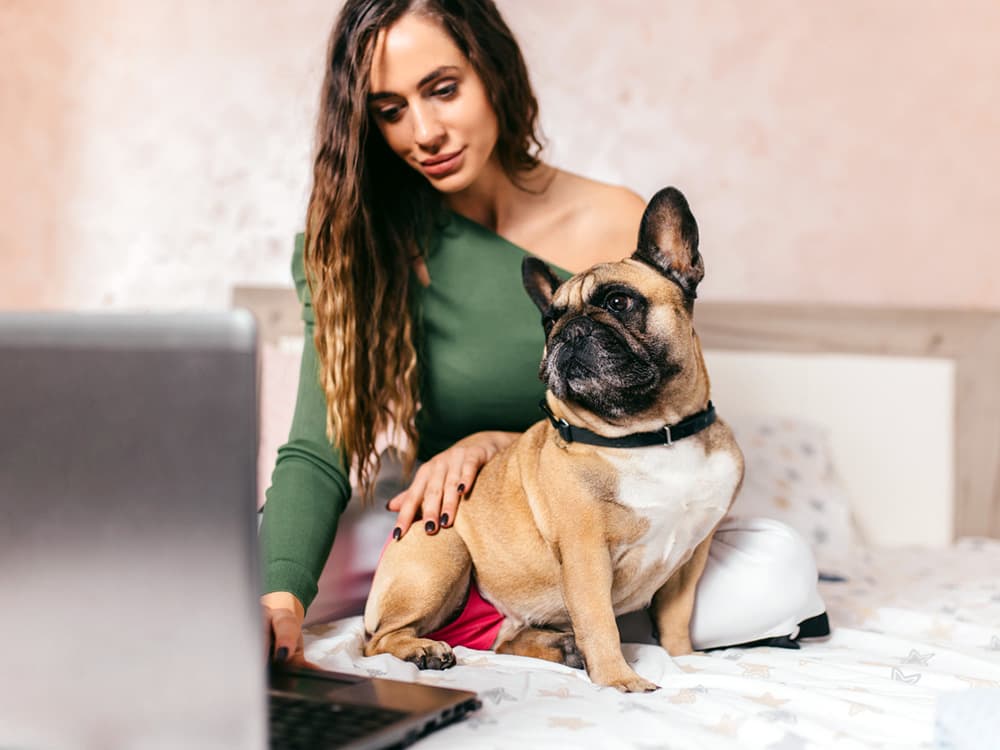 Is Gen Z Shopping for Dogs Instead of Adopting Because of Social Media?