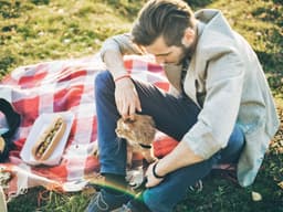 Can Cats Eat Hot Dogs?