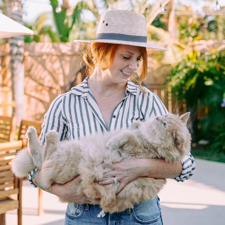 Keeping Cats Cool in Summer: Essential Safety Tips for Your Feline Friends