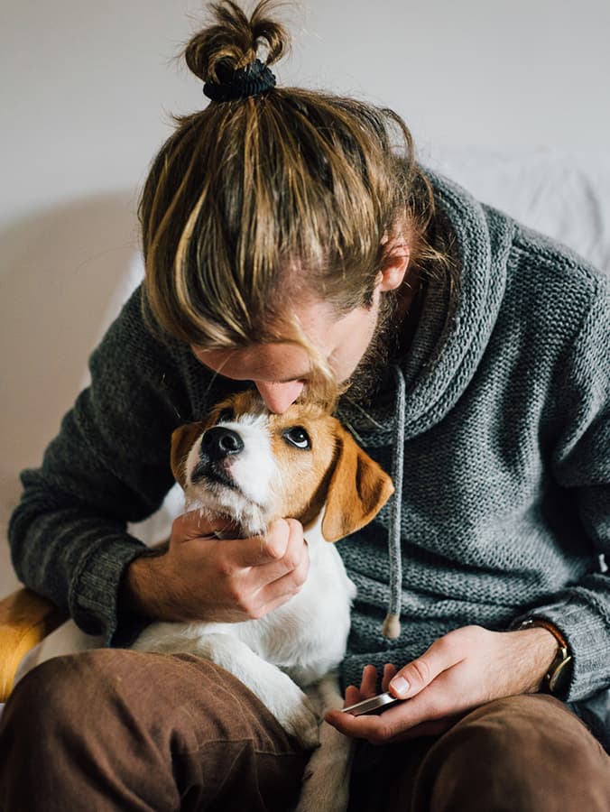 A Mysterious Illness Is Making Dogs Across the Country Sick