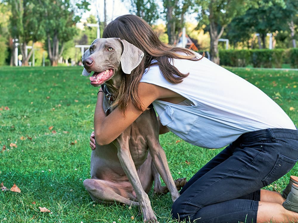 4 Things You’re Doing That Really Stress Your Dog Out