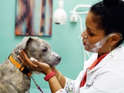 Dr. Joya Griffin Is Poppin’ Puppy Pimples on TV
