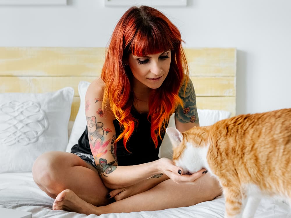 Does My Cat *Really* Need to See a Vet?