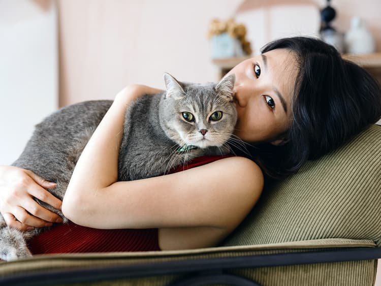 If You Think Your Cat Is Manipulating You, You’re Right, Study Says