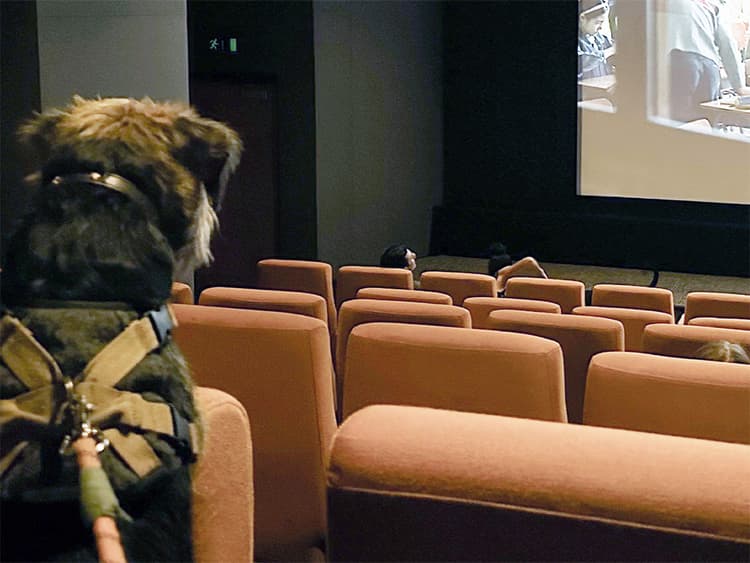 At This UK Theater Chain, Your Dog Can Be Your Movie Date