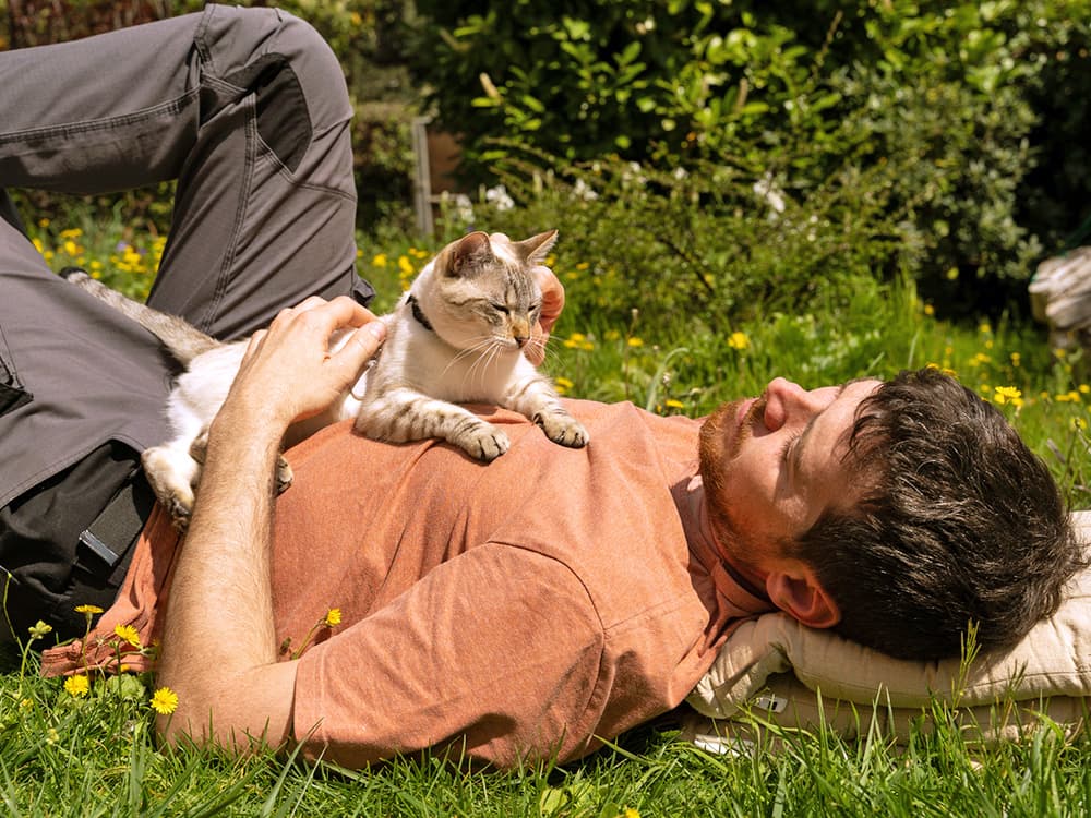 10 Signs Your Cat Trusts You