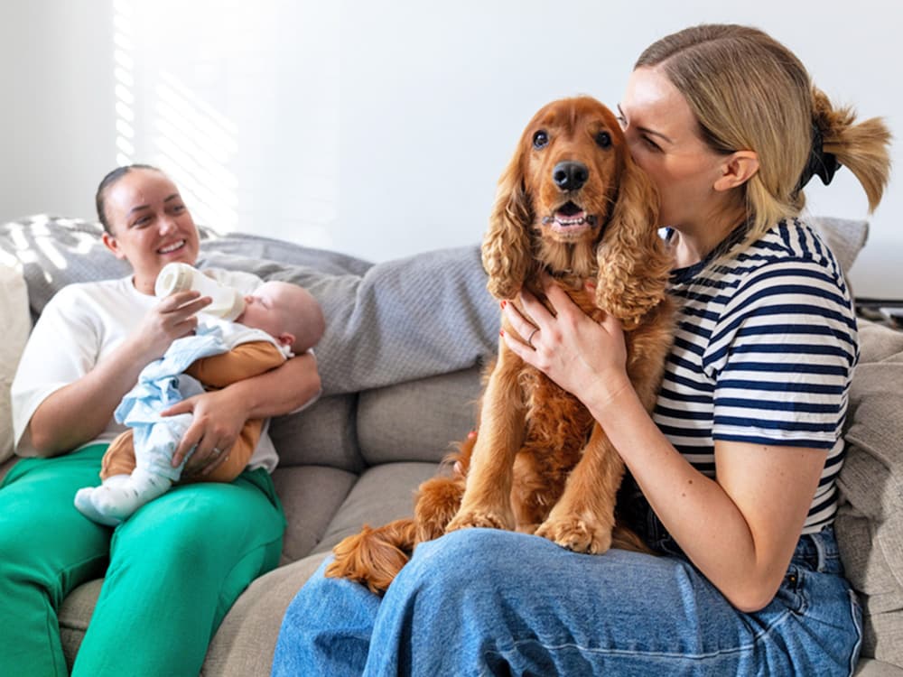 Are Dog Moms ‘Real’ Moms? Not Everyone Thinks So