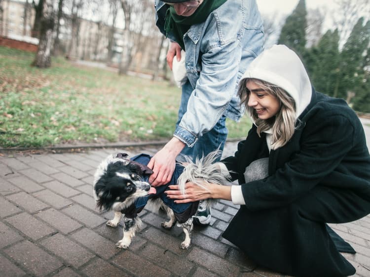 Why Dogs Demand Butt Scratches
