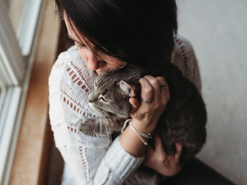 Is Your Cat SAD?