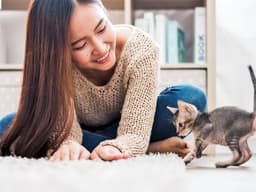 How to Train Your Cat: Tips and Cues for Kittens