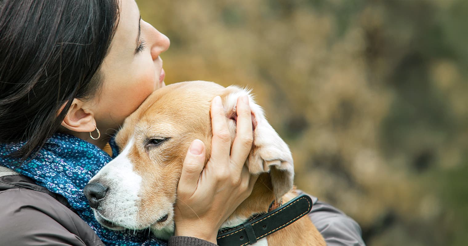 Rehoming a Dog Responsibly: When It’s the Right Decision