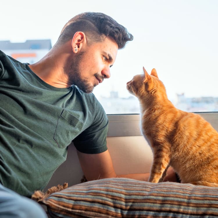 This Free AI App Can Tell You What Your Cat’s Meows Mean—Supposedly