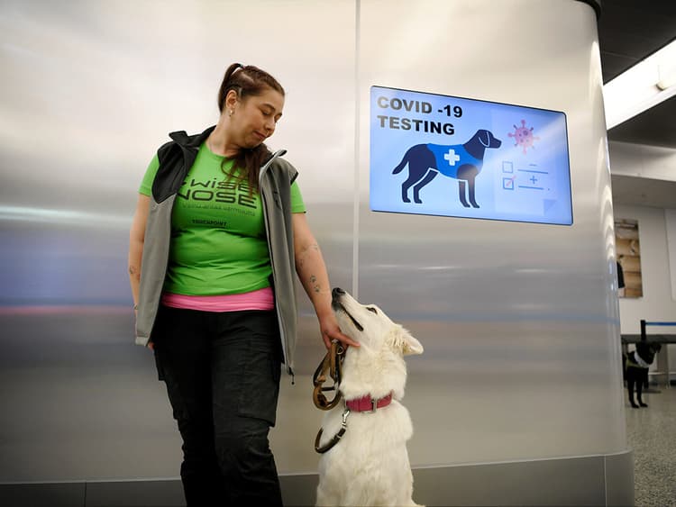 COVID-19 Isn’t Going Anywhere. Enter Dogs Who Can Sniff It Out