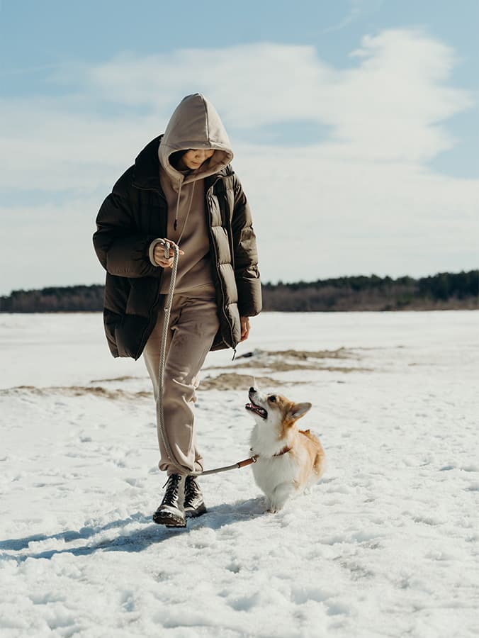 Does Your Pup Have Snow-Hound Potential?