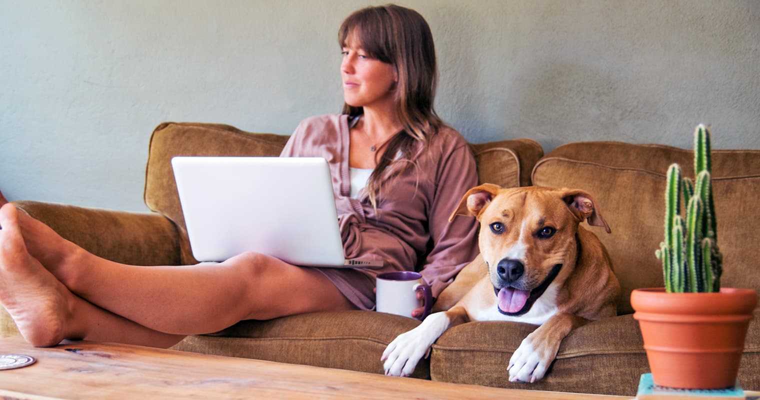 How Long Does It Take Pit Bulls to Get Used to a New Home?