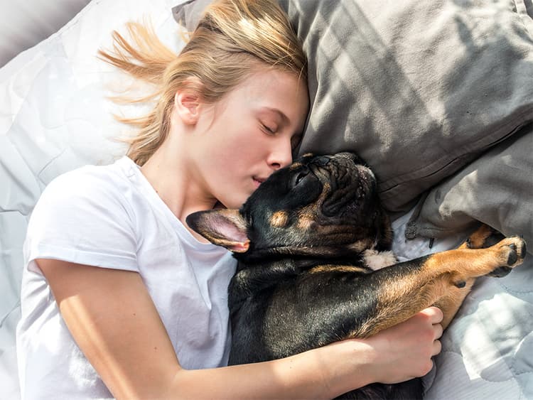 A New Study Finds Flat-Faced Dogs Get Pretty Crappy Sleep