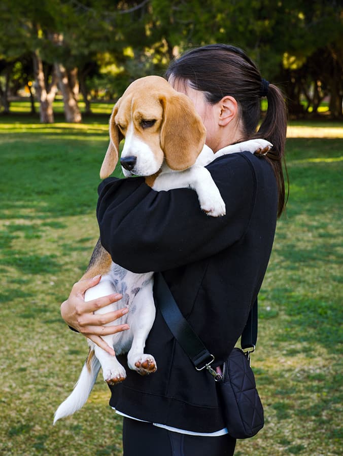 How to Deal With All the Drama at the Dog Park