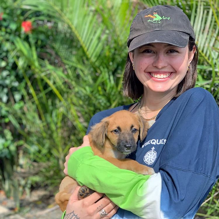 How to Turn Your Vacation Into an Opportunity to Help Local Rescue Animals