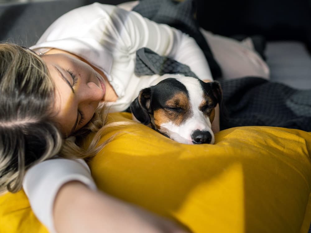 Your Dog Is Probably Dreaming About You, Research Shows
